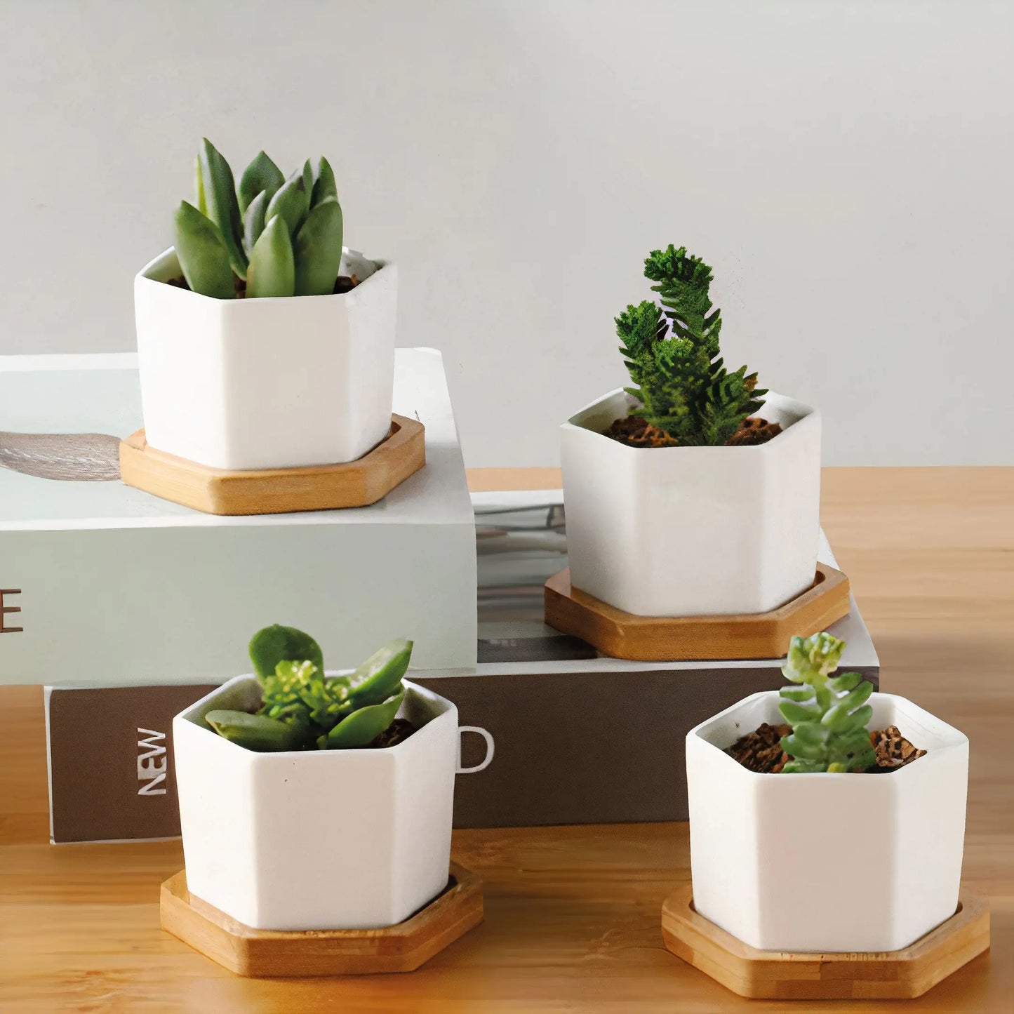 Message in a Planter - 4" Set of 3